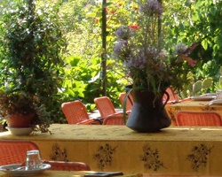 il pergolato-6