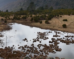 laghetto di Bargone-4
