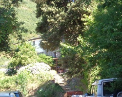 park-2